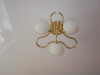 p1020486_800x600 p1020486_800x600