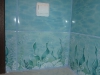 p1020519_800x600 p1020519_800x600