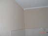 CIMG1558 CIMG1558