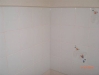 CIMG1559 CIMG1559