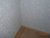 CIMG1575 CIMG1575