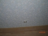 CIMG1576 CIMG1576