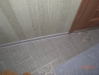 CIMG1608 CIMG1608