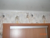 CIMG1380 CIMG1380